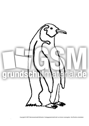 Pinguin.pdf